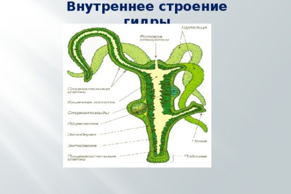 Кракен ссылка trikky